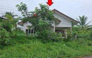 ทรัพย์สถาบันโดย ธอส. บ้านเดี่ยว หนองหญ้าปล้อง