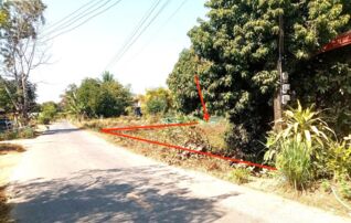 ทรัพย์ธนาคารโดย KASIKORNBANK ที่ดิน ถนนสายบ้านต้าย - บ้านดอนส้มโฮง (สน.2021)