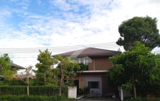 บ้านเดี่ยว เนื้อที่เยอะ 115 ตรว. รังสิต ธัญญะ คลอง7 ม.เลอมาน                     : เจ้าของขายเอง (งดรับนายหน้า)