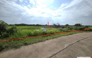 ทรัพย์สถาบันโดย KASIKORNBANK ที่ดิน ถนนสายบ้านสร้างแม็ก-บ้านดอนยม (นพ.3052)
