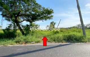ขายที่ดิน ถนนรังสิต-นครนายก (ทล.305)