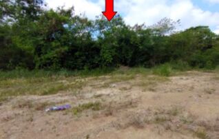 ทรัพย์สถาบันโดย บริษัท บริหารสินทรัพย์สุขุมวิท จำกัด ที่ดิน ถนนสุขุมวิท (ทล.3) 