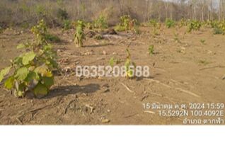 ขายที่ดิน ถนนบ้านหลักสิบเท้า-บ้านเขาขาด (นว.4010)