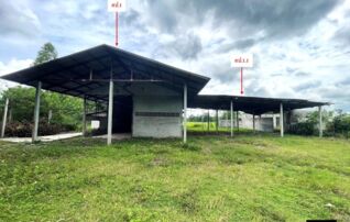 ทรัพย์ธนาคารโดย KASIKORNBANK บ้านเดี่ยว ถนนสายหนองหลวง - ส่องดาว (สน.2021)