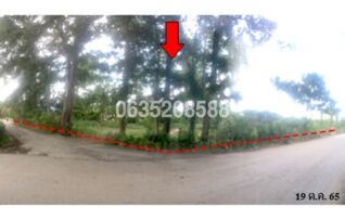 ขายที่ดิน ถนนทางหลวงชนบท ชพ.408 (สงขลา-ระโนด)