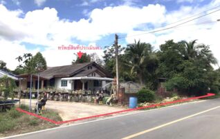 ทรัพย์ธนาคารโดย KASIKORNBANK บ้านเดี่ยว ถนนจั่ว-กรีดอนุสรณ์(บ้านหัวถนน-บ้านปลายน้ำ)