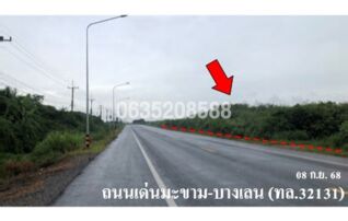 ขายที่ดิน ถนนเด่นมะขาม-บางเลน(ทล.3231)