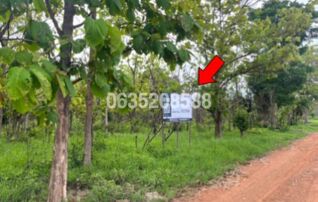 ทรัพย์สถาบันโดย บริษัท บริหารสินทรัพย์สุขุมวิท จำกัด ที่ดิน ถนนสายหนองแจง-บ้านกลาง (ชน.4017)