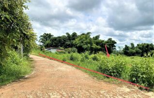ทรัพย์ธนาคารโดย KASIKORNBANK ที่ดิน ถนนสายแยก ทล.210-บ้านกุดลิงง้อ