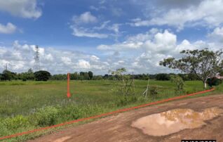 ทรัพย์สถาบันโดย KASIKORNBANK ที่ดิน ซอยเลียบคลองชลประทาน ถนนแจ้งสนิท(ทล.23)