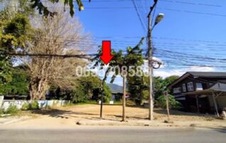 ขายที่ดิน ถนนสายแม่มาลัย-แม่ฮ่องสอน (ทล.1095)