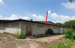 ทรัพย์ธนาคารโดย KASIKORNBANK โกดัง/โรงงาน ถนนบ้านป่ากล้วย