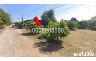 ขายที่ดิน ถนนสายลืออำนาจ-พนา (ทล.2134)