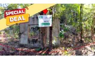 ทรัพย์สถาบันโดย บริษัท บริหารสินทรัพย์สุขุมวิท จำกัด ที่ดิน ถนนสร้างคำ