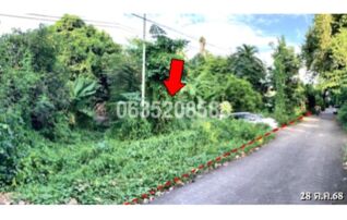 ขายที่ดิน ถนนพิษณุโลก-บางกระทุ่ม(ทล.1063)