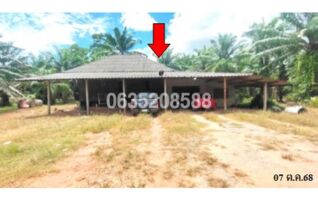 ขายบ้านเดี่ยว ถนนสายบ้านเชิงสมอ-บ้านปากหมาก (สฎ.4011)