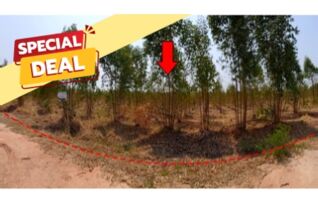ทรัพย์สถาบันโดย บริษัท บริหารสินทรัพย์สุขุมวิท จำกัด ที่ดิน ถนนสายบ้านยางป่า-โคกสูง (ชย.4077)