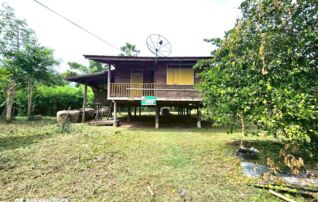 ทรัพย์ธนาคารโดย KASIKORNBANK บ้านเดี่ยว ถนนสายสุขเดือนห้า - หนองยาง(ชน.4011)