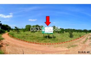 ขายที่ดิน ถนนสายบ้านหนองบัวขาว-บัานโสกตลับ (ชย.3001)