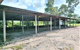 ทรัพย์ธนาคารโดย KASIKORNBANK บ้านเดี่ยว ถนนสายบ้านเปลือยน้อย - บ้านตาเณร (รอ.1034)