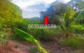 ขายที่ดิน ถนนเลียบคลองรังสิต