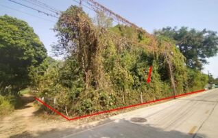 ทรัพย์ธนาคารโดย KASIKORNBANK ที่ดิน ถนนชาญสินธุ์