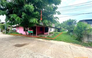 ทรัพย์ธนาคารโดย KASIKORNBANK บ้านเดี่ยว ถนนสายบ้านอำนาจ - บ้านโปโล (อจ.4011)