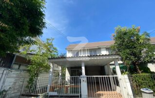 💥บ้านว่างให้เช่า เจ้าของปล่อยเอง💥 พฤกษา 64/1 ตรงข้ามวัดเกิดกาญอุดม : เจ้าของให้เช่าเอง (งดรับนายหน้า)