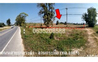 ขายที่ดิน ถนนสายบางระกำ-ลานกระบือ (ทล.1065)