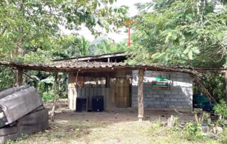 ทรัพย์ธนาคารโดย KASIKORNBANK บ้านเดี่ยว ถนนสายพัทลุง - ท่าแค (ทล.4)
