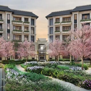 ดิ แอสเพน ทรี The Aspen Tree