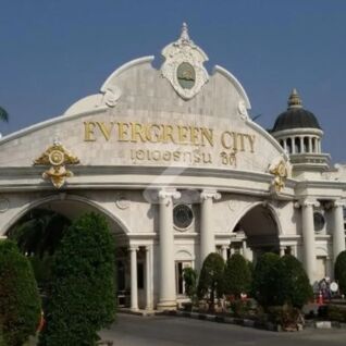 เอเวอร์กรีน ซิตี้ Evergreen City