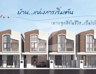 เอเบิล อุดมสุข 50 ABLE Udomsuk 50