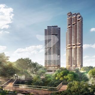 เดอะ ฟอเรสเทียส์ ซิกเนเจอร์ ซีรีส์ The Forestias Signature Series