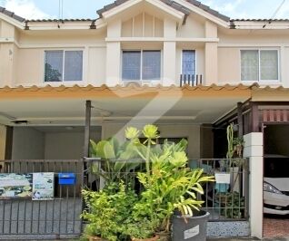 บ้านพฤกษา 59/1 สุขุมวิท-บางปู Baan Pruksa 59/1 Sukhumvit-Bang Pu