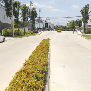 พลีโน่ สุขสวัสดิ์ 30 Pleno Suksawat 30