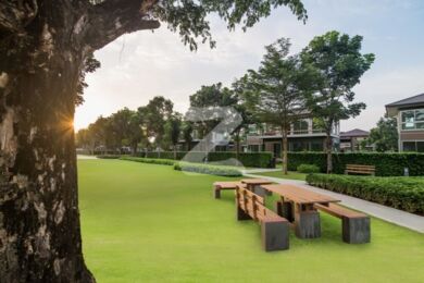 ครีเอ้ เขาใหญ่ Crea Khao Yai